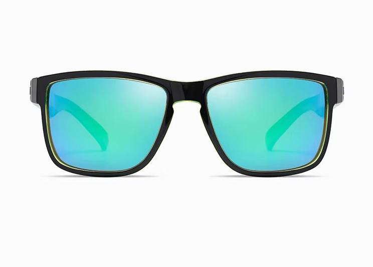 Polarized Sunglasses PL-2179