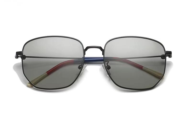 Polarized Sunglasses SM-6334