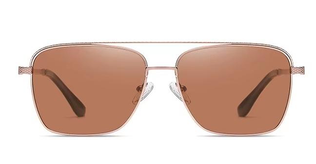 Polarized Sunglasses PL-2300