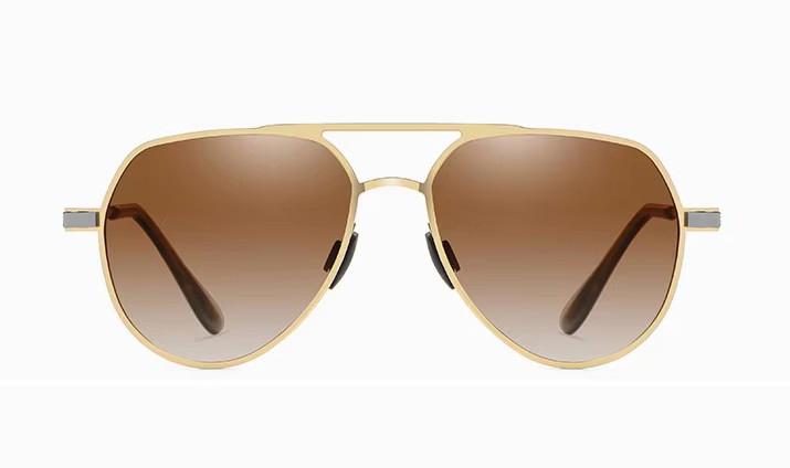 Polarized Sunglasses PL-2486