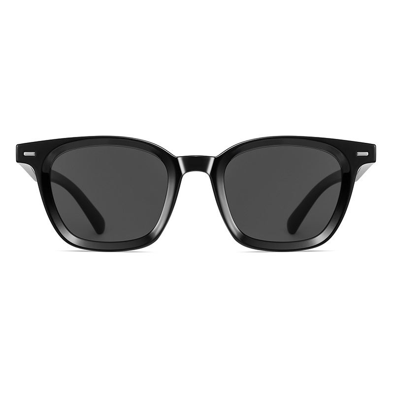 Polarized Sunglasses PL-2534