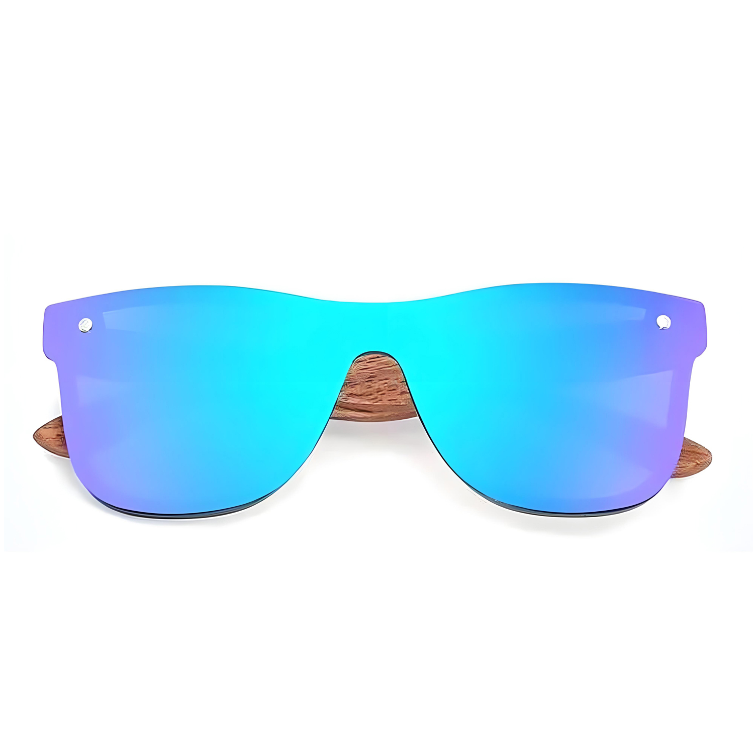 Polarized Sunglasses PL-2465